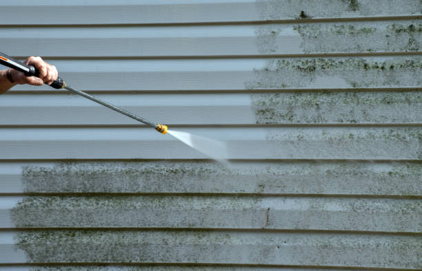 Professional Pressure Washing Services in Roseau, MN
