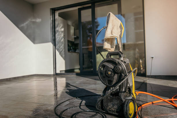 Best Rust Removal  in Roseau, MN